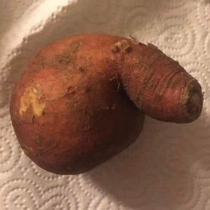 Meet your Posher, Ronald